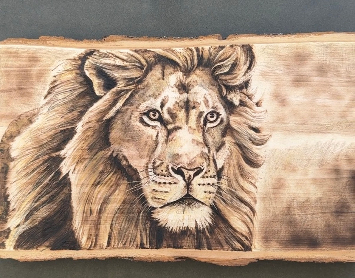 Lion - Original Wood Burn