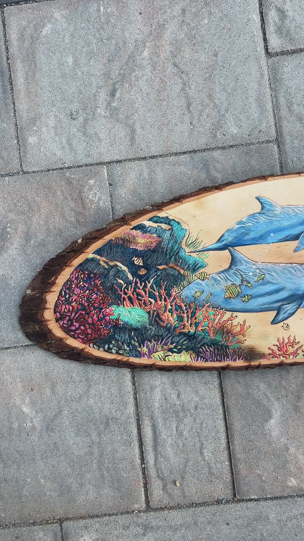 2 Dolphins Swimming Through Coral Reef- Original Wood Burn
